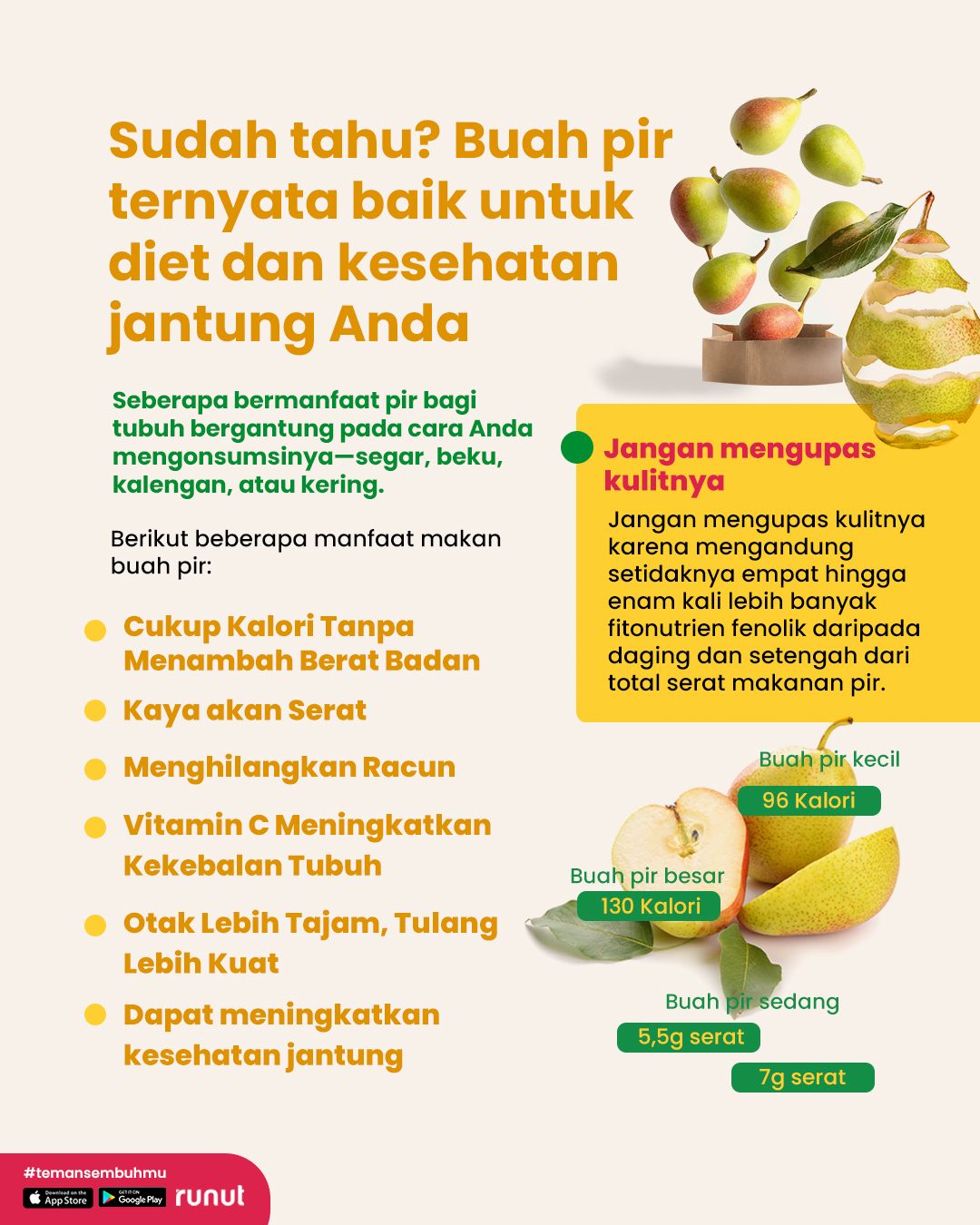 Runut - Seberapa bermanfaat pir bagi tubuh bergantung pada...