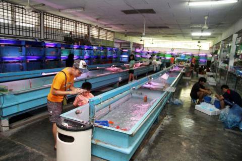 Have You Ever Been To Nanyang Fish Lee Betta Aquarium Facebook