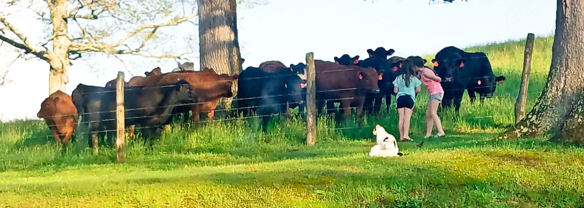 Old Oaks Farm