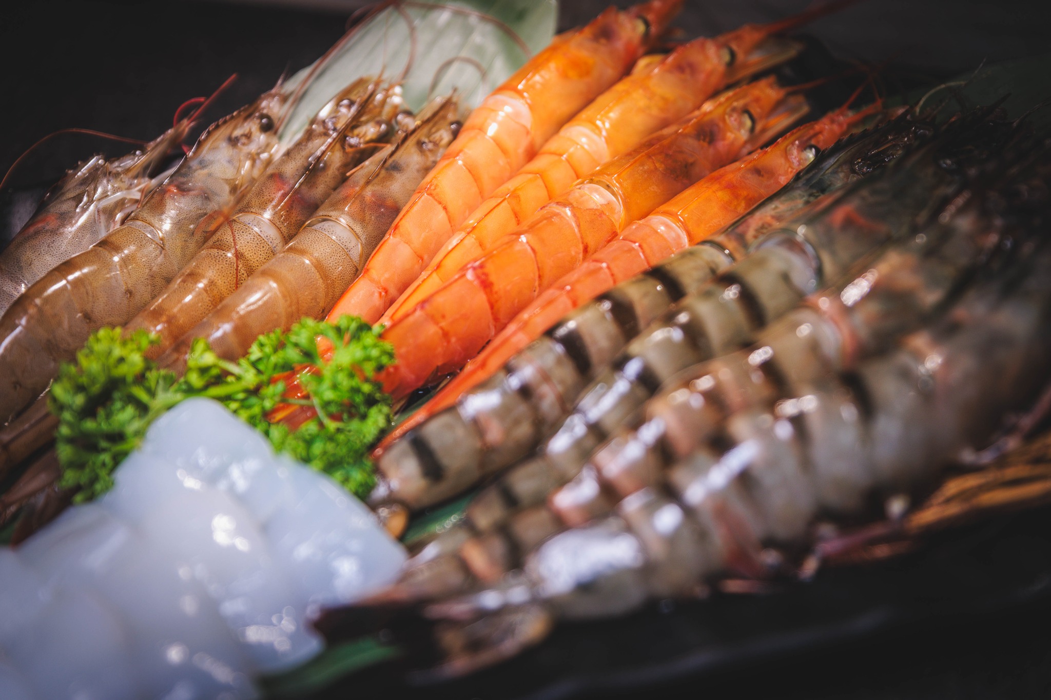 樂樂燒肉 蘆洲店