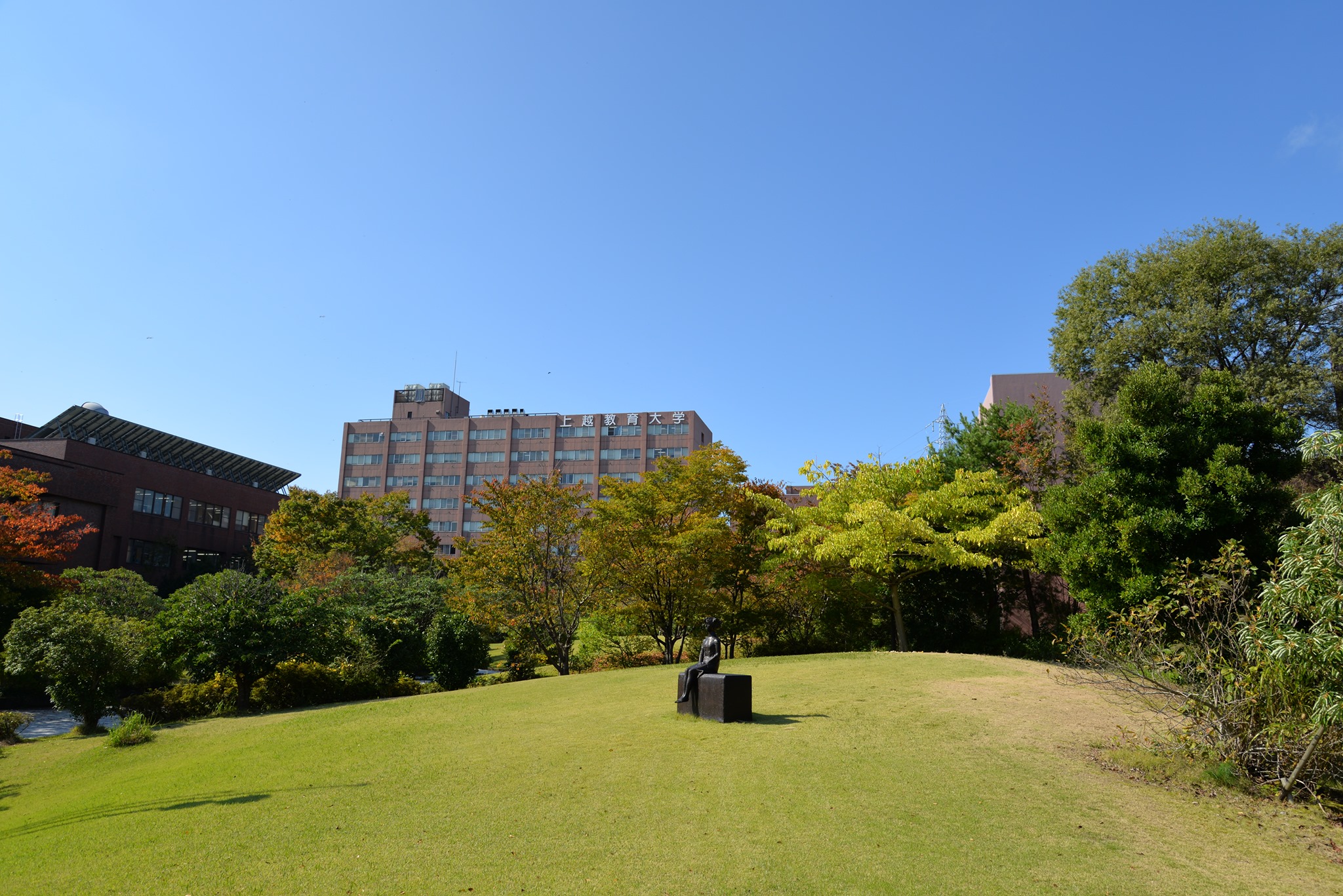 上越 教育 大学