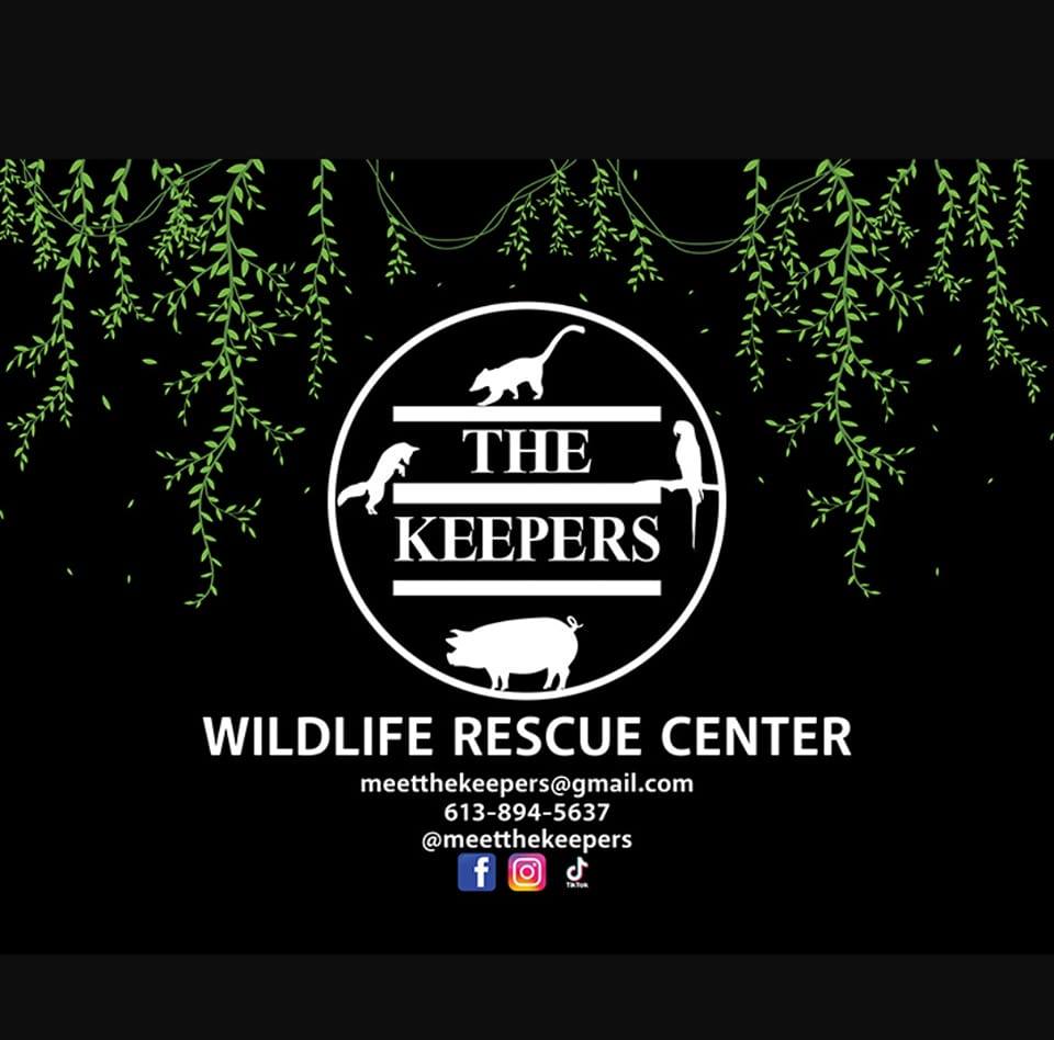 Meet The Keepers... - Meet The Keepers Wildlife Rescue Center