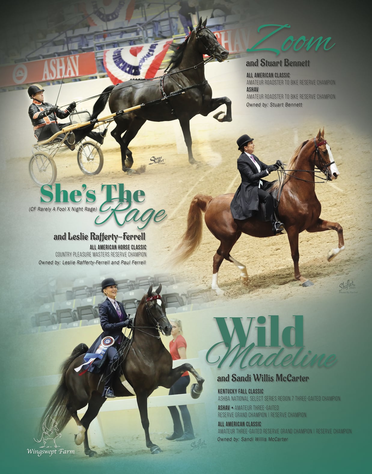 As featured in the November 2021 issue... - Saddle And Bridle