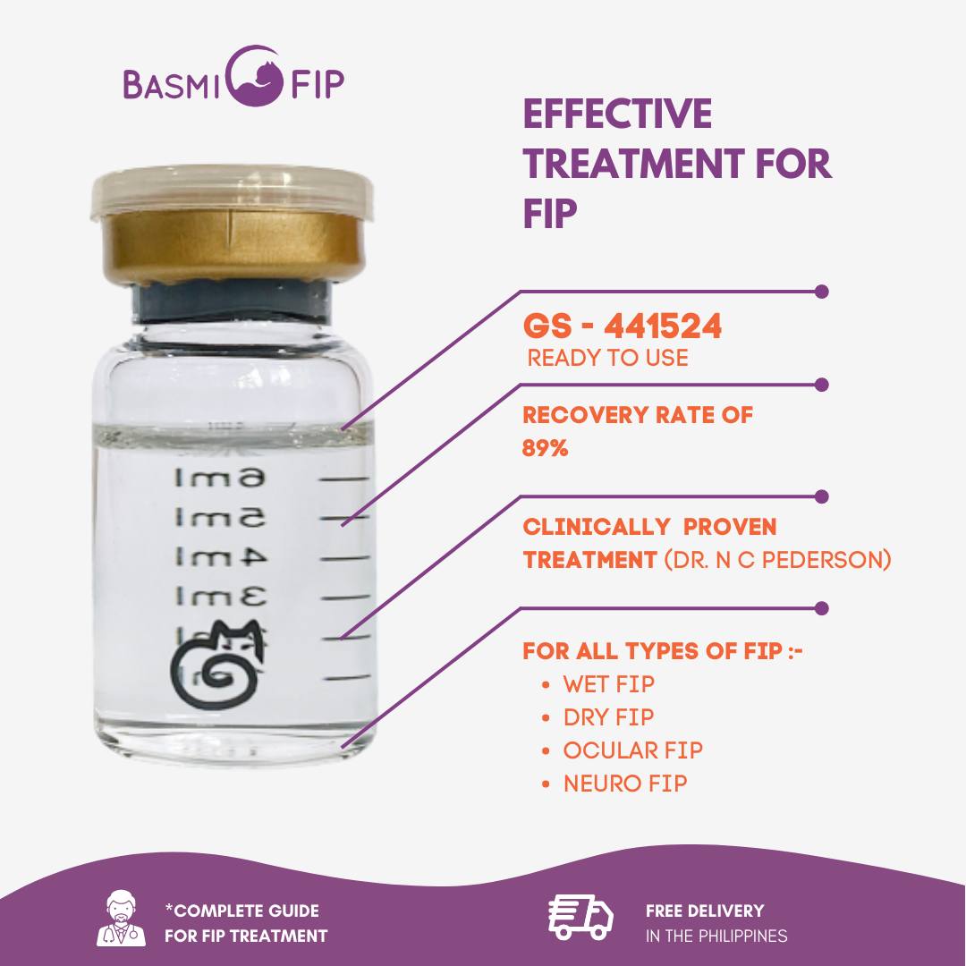 Effective treatment for Feline... - Basmifip Philippines | Facebook