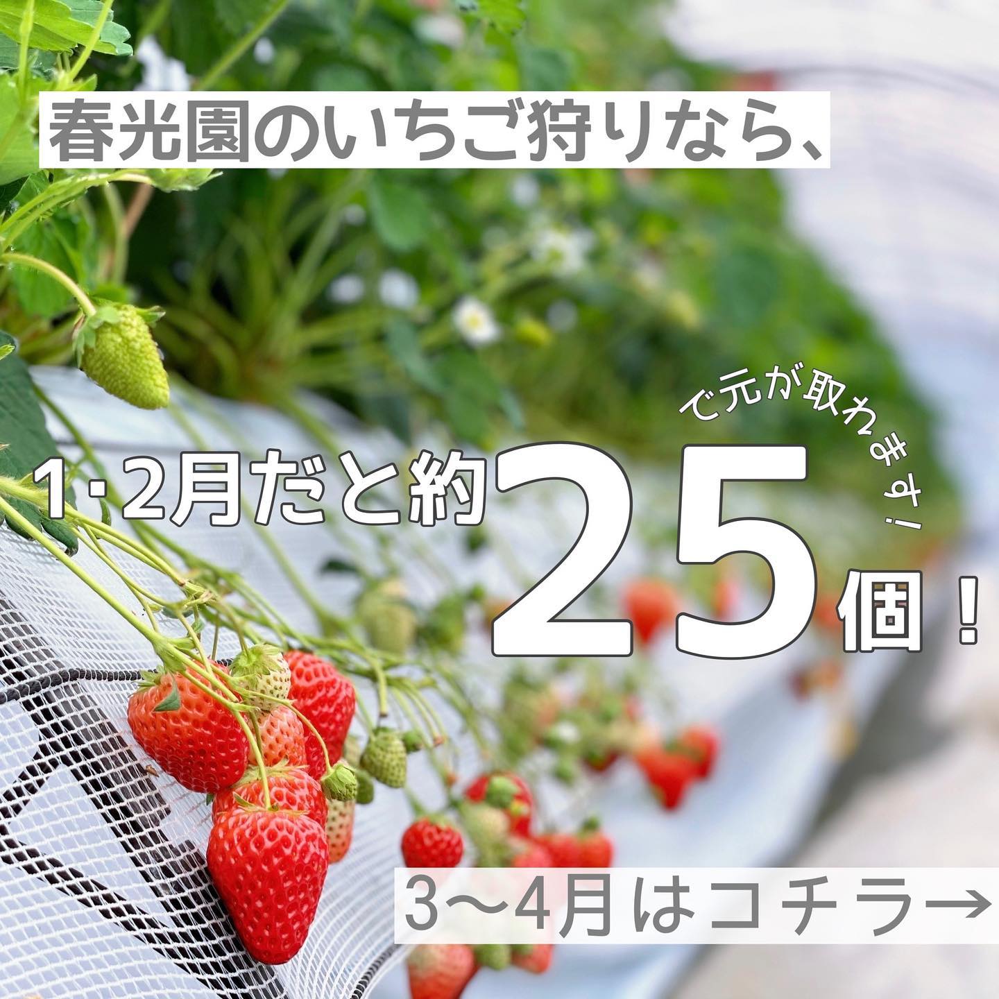 Shunkoen Ukiha Home Facebook