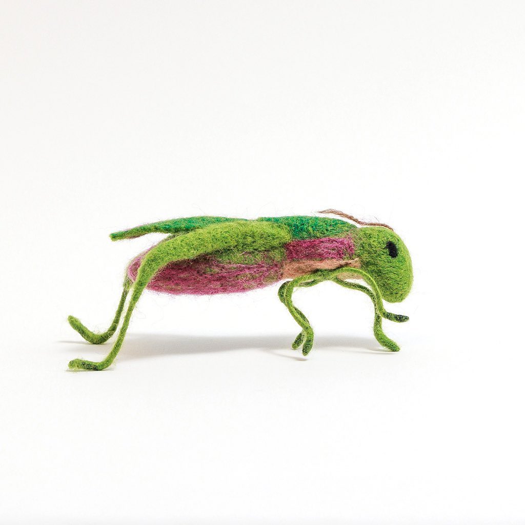 Craftspring - Celebrate spring with our new Grasshopper!...