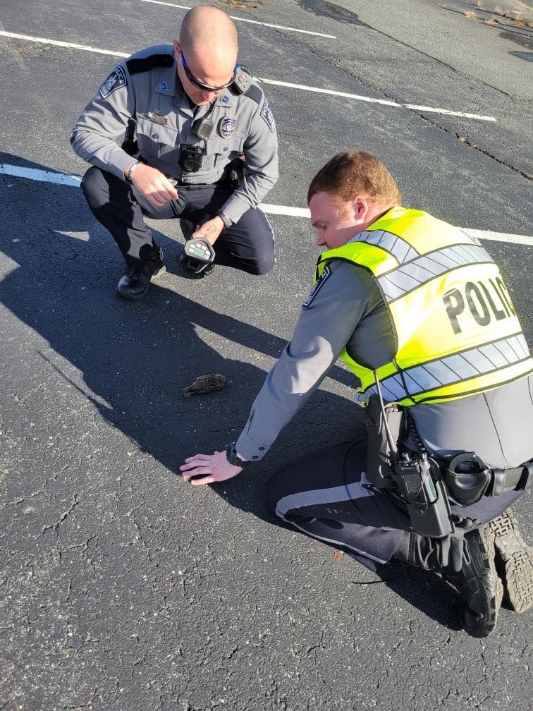 Meet “Flash!” While... - Aberdeen Police Department