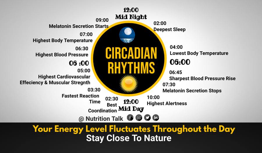 Nutrition Talk - Circadian Rythm-It may sound like your circadian ...