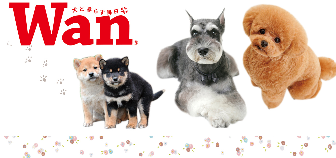 Wan（わん） (@magazineWan) • Facebook