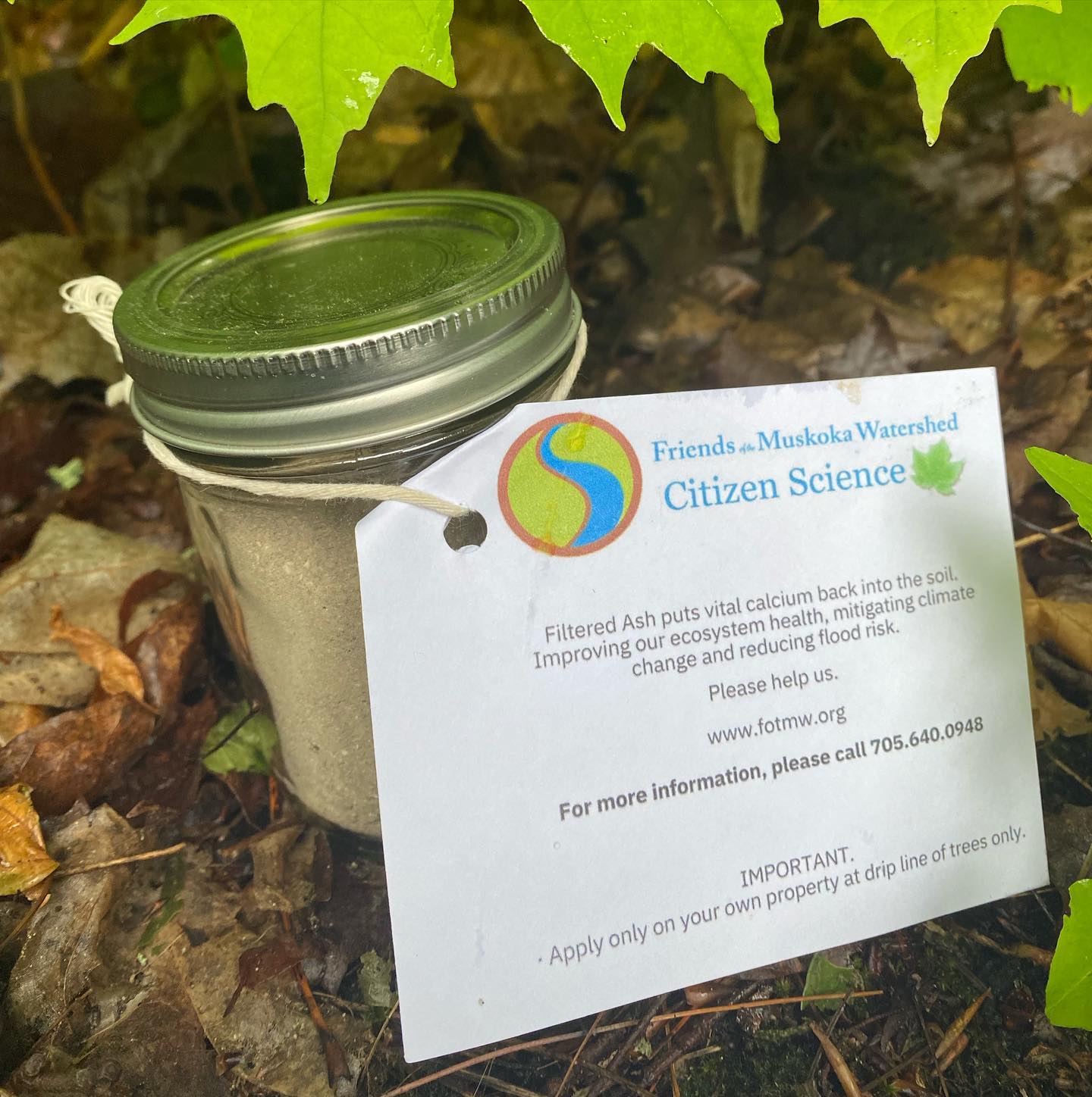 Friends of the Muskoka Watershed - Our ASHMuskoka program is making a ...