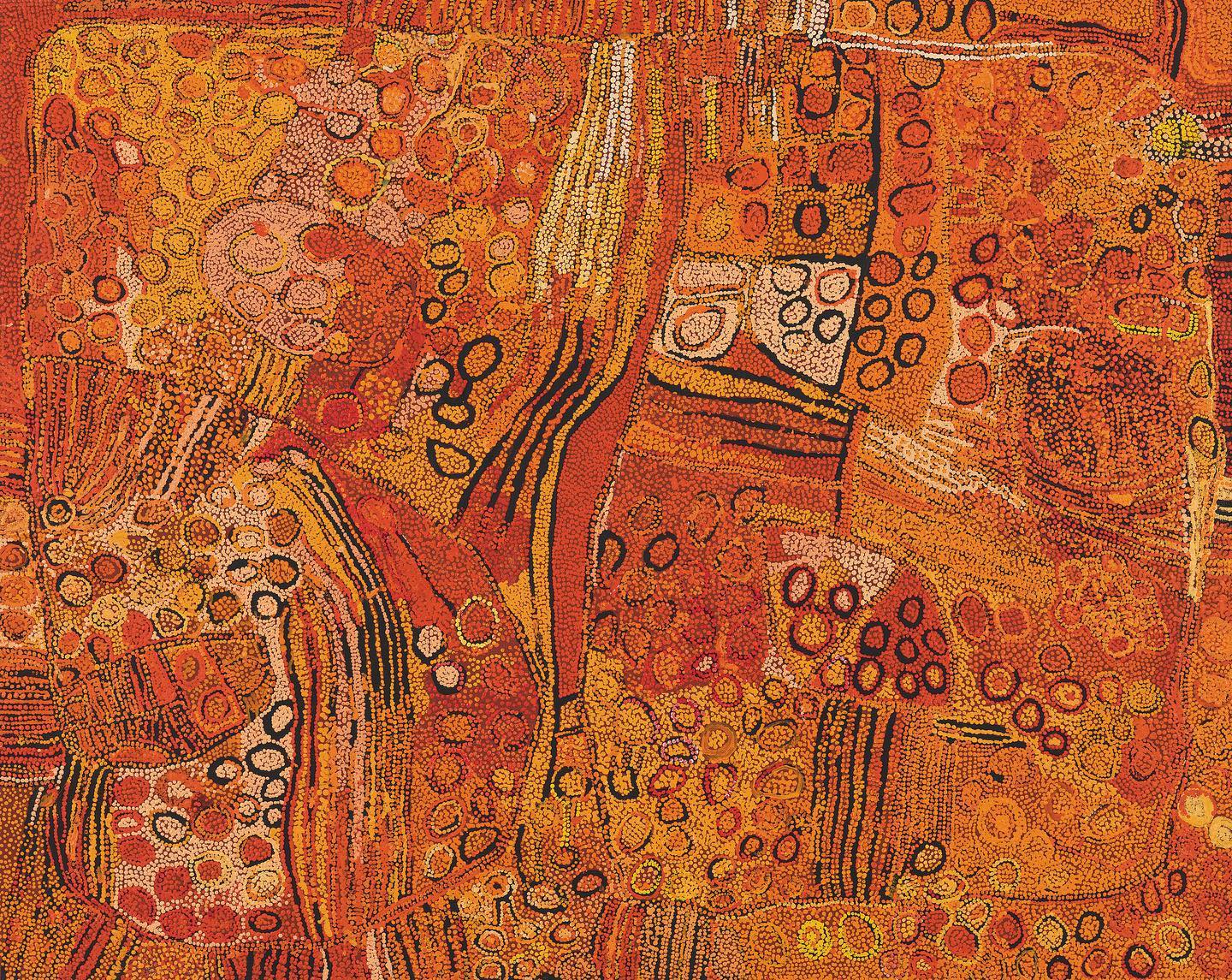 The bands of dots that sweep across Julie Nangala Robertson's