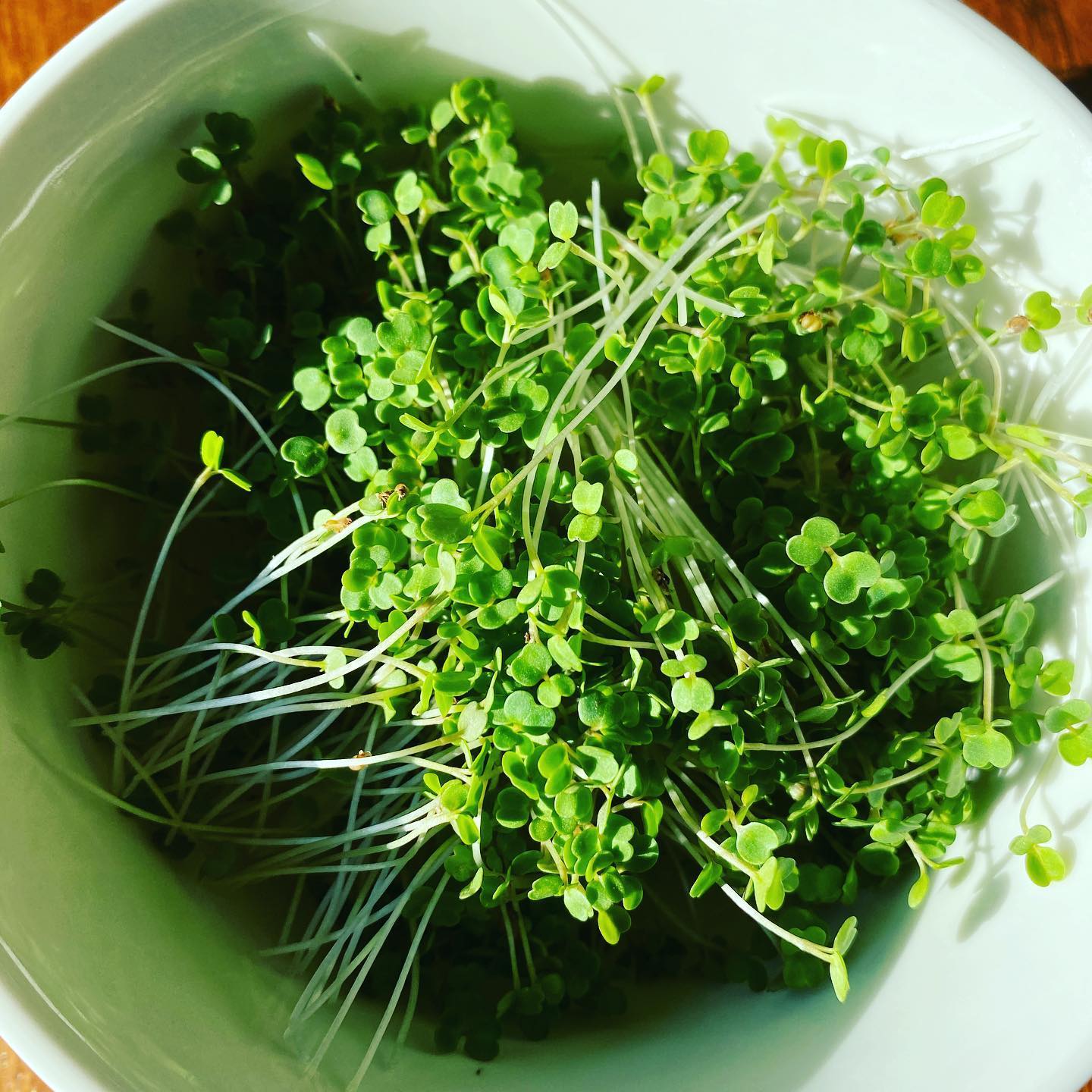 Microleaf Greens