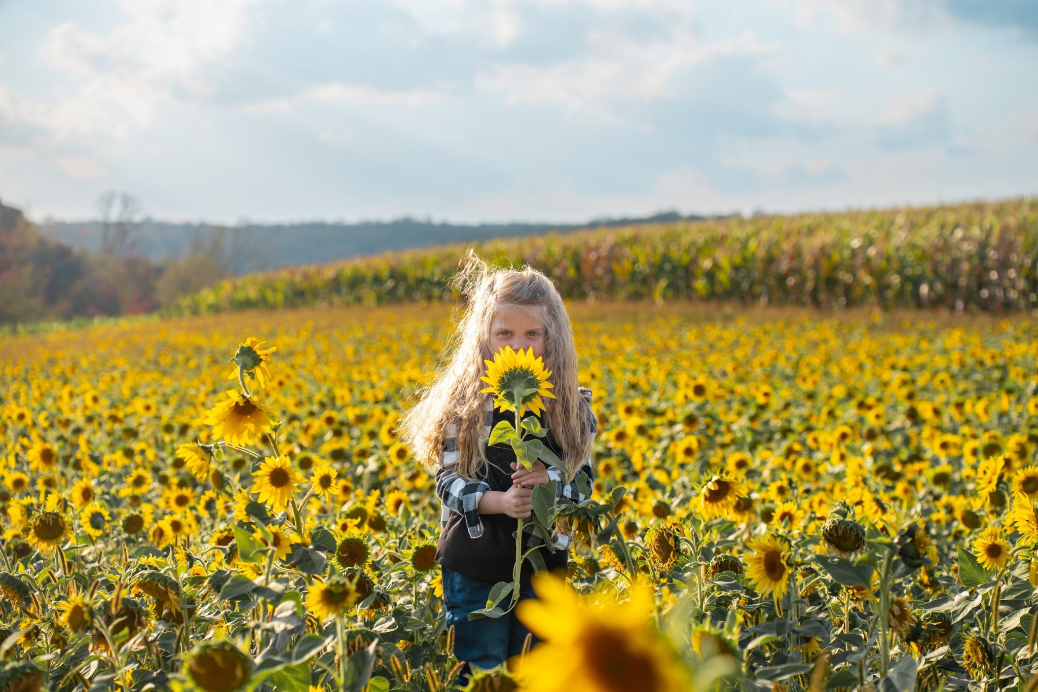 Ostrosky Photo Labs