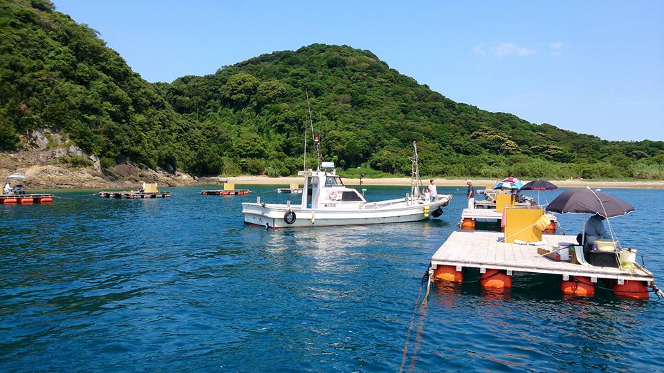 川端渡船 - 川端渡船 added a new photo.