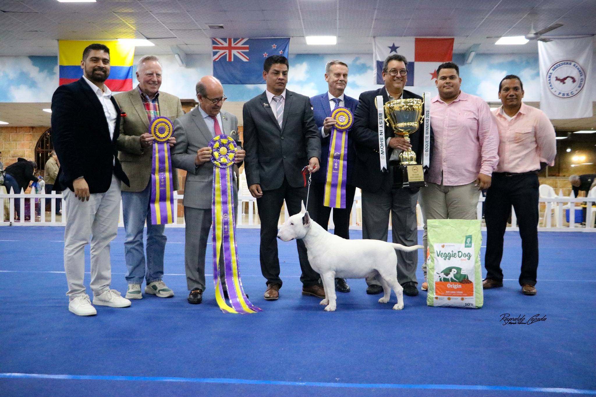 Panama - BEST IN SHOW Boquete Winners 2023 por el Juez José Homem de ...