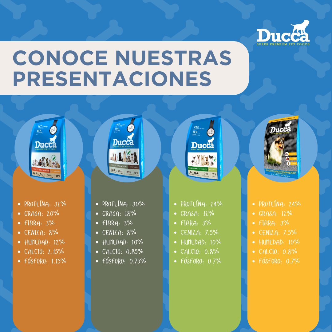 DUCCA - ¡Conoce todas nuestras presentaciones, sus... | Facebook