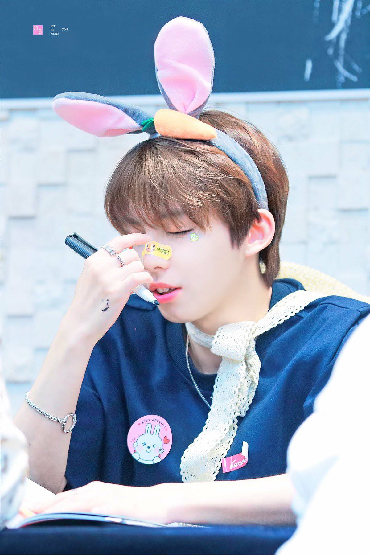 우진영 禹眞榮::台灣櫻桃站 - 우진영 禹眞榮::台灣櫻桃站 added a new photo.