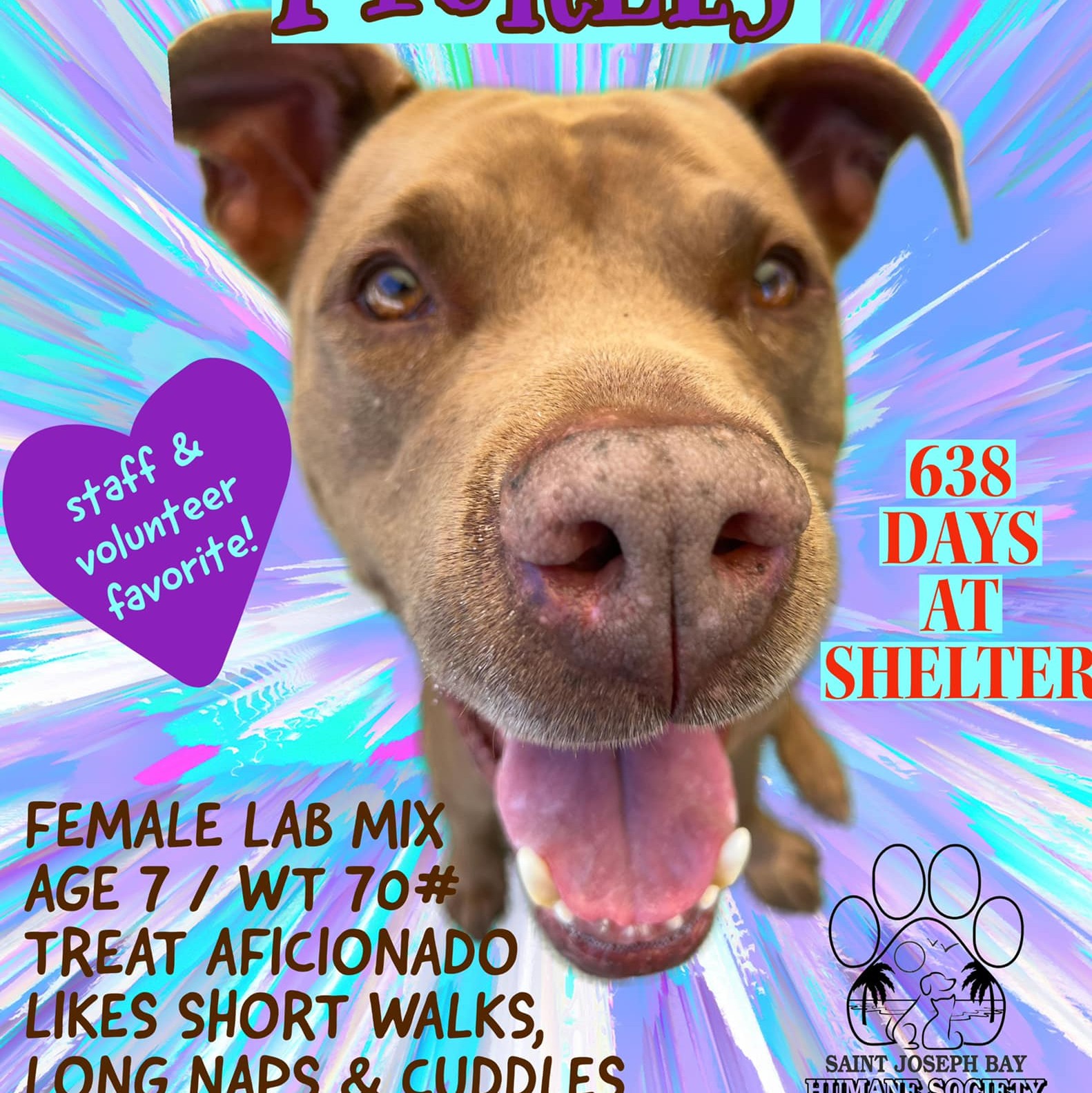 St. Joseph Bay Humane Society | Port Saint Joe FL