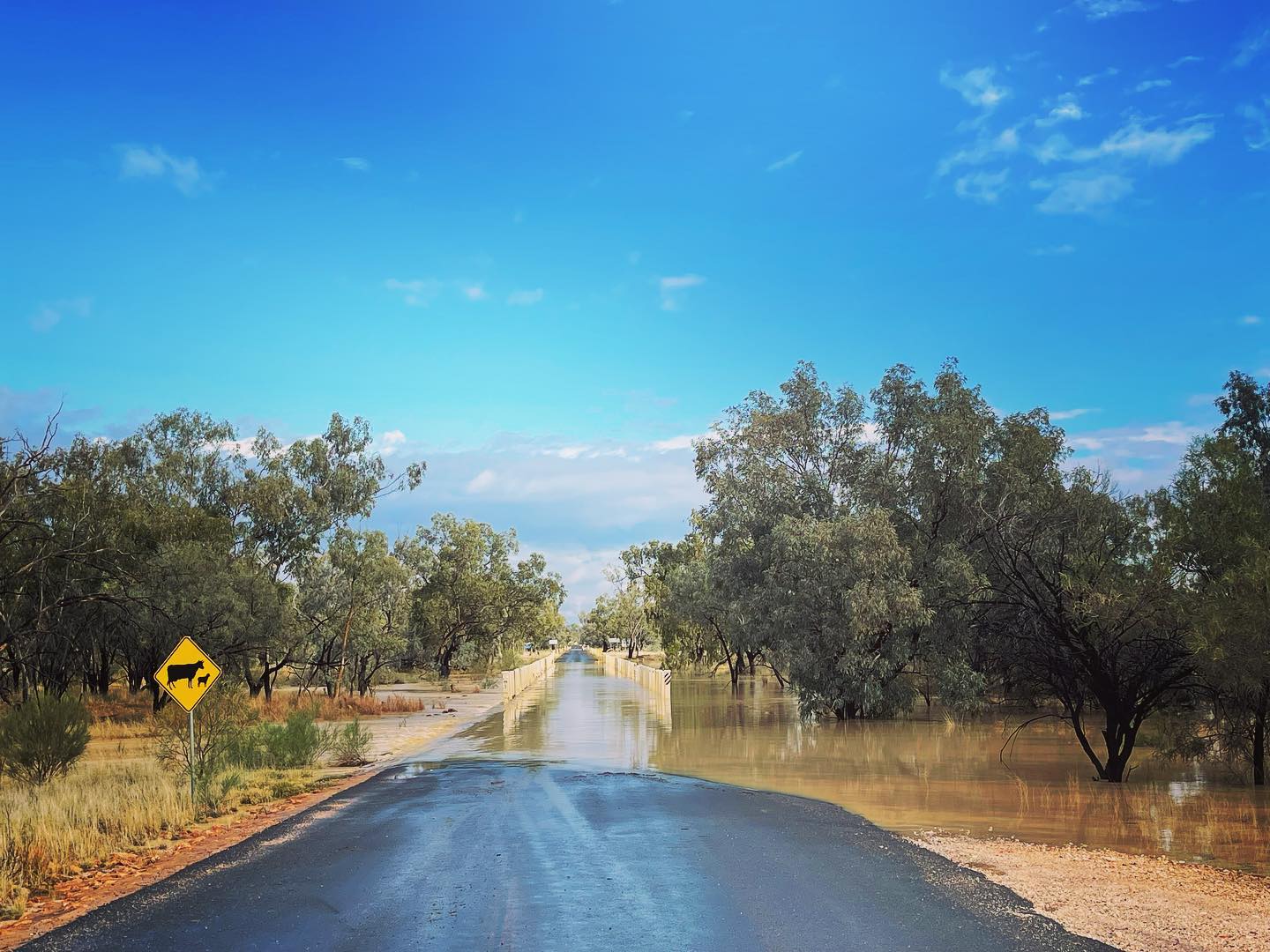 Explore Bulloo - The Bulloo River has a nice little run in...