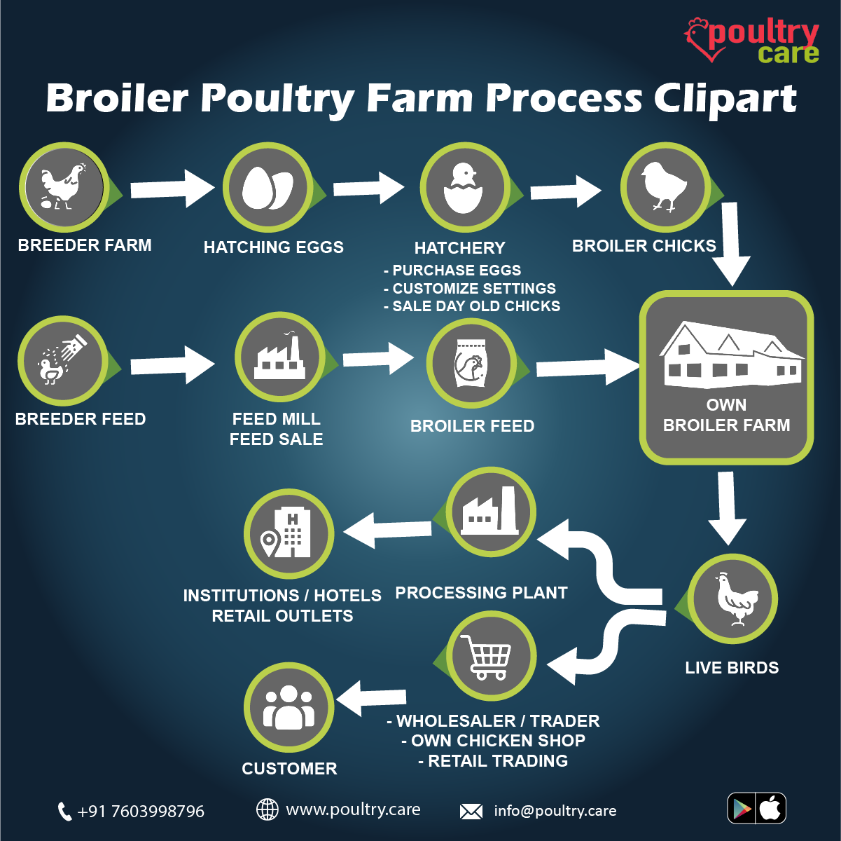 PoultryCare - Broiler poultry farm process clipart For... | Facebook