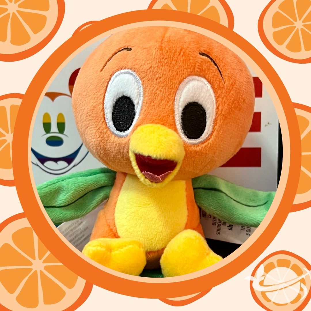 FlashbackFriday from Lakeland History & Culture Center: Orange