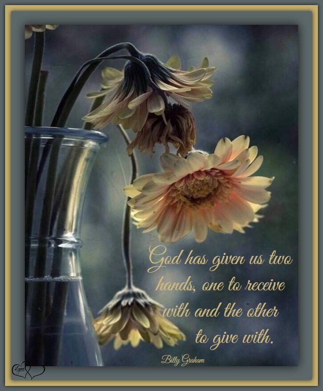 💐🍀💜 The simplest things in... - Every Picture Tells A Story | Facebook