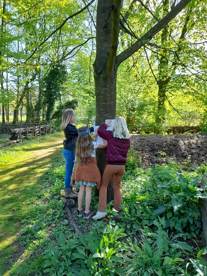 vakantie-tip-voor-de-obs-de-hasselbraam-deurne-facebook