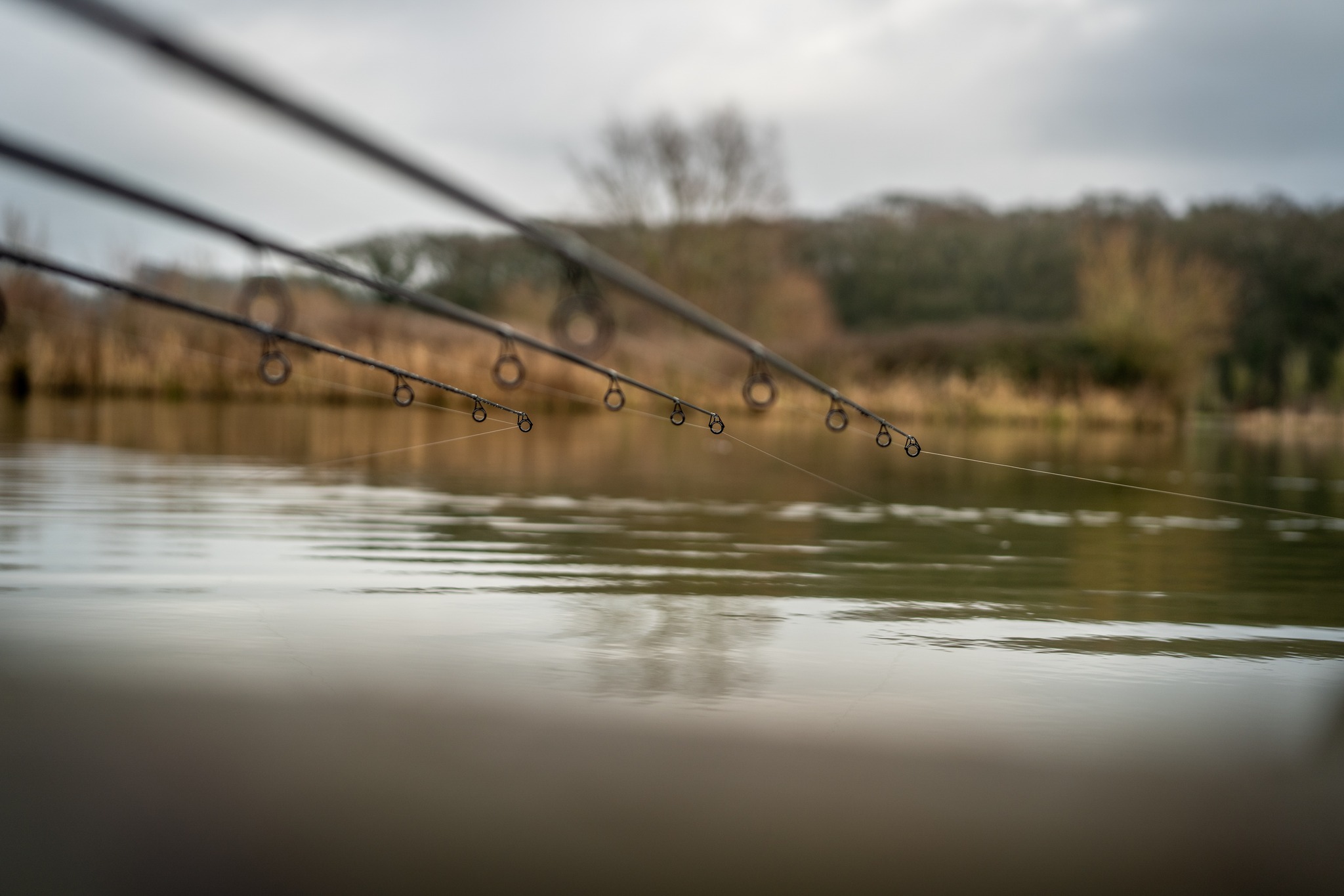 daiwa black widow g50 carp fishing rods Rod G50 Fish On Tackle Store Daiwa Black Widow G50 -