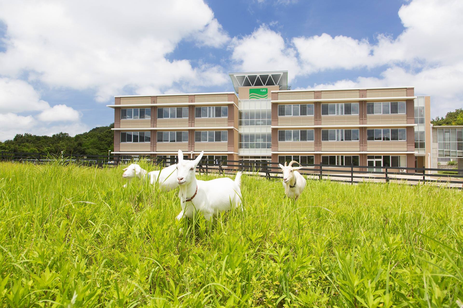公立 鳥取 環境 大学