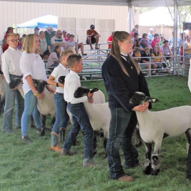 Cache County Fair and Rodeo... - Cache County Fair and Rodeo