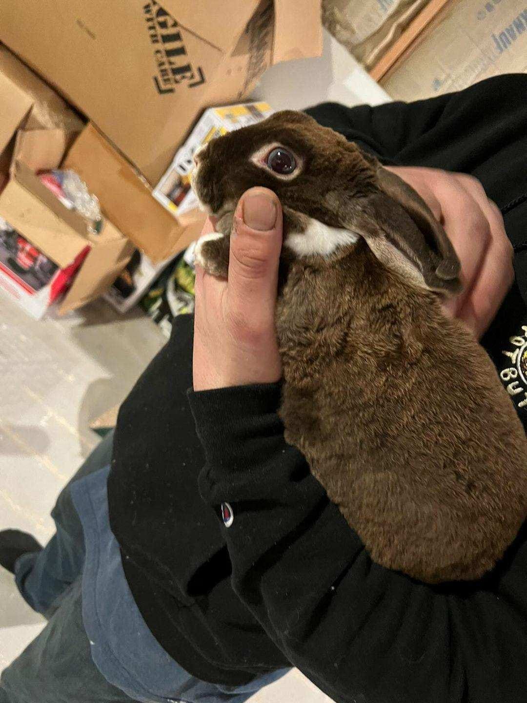 Second Chance Wildlife Rescue Org | Farmingville NY