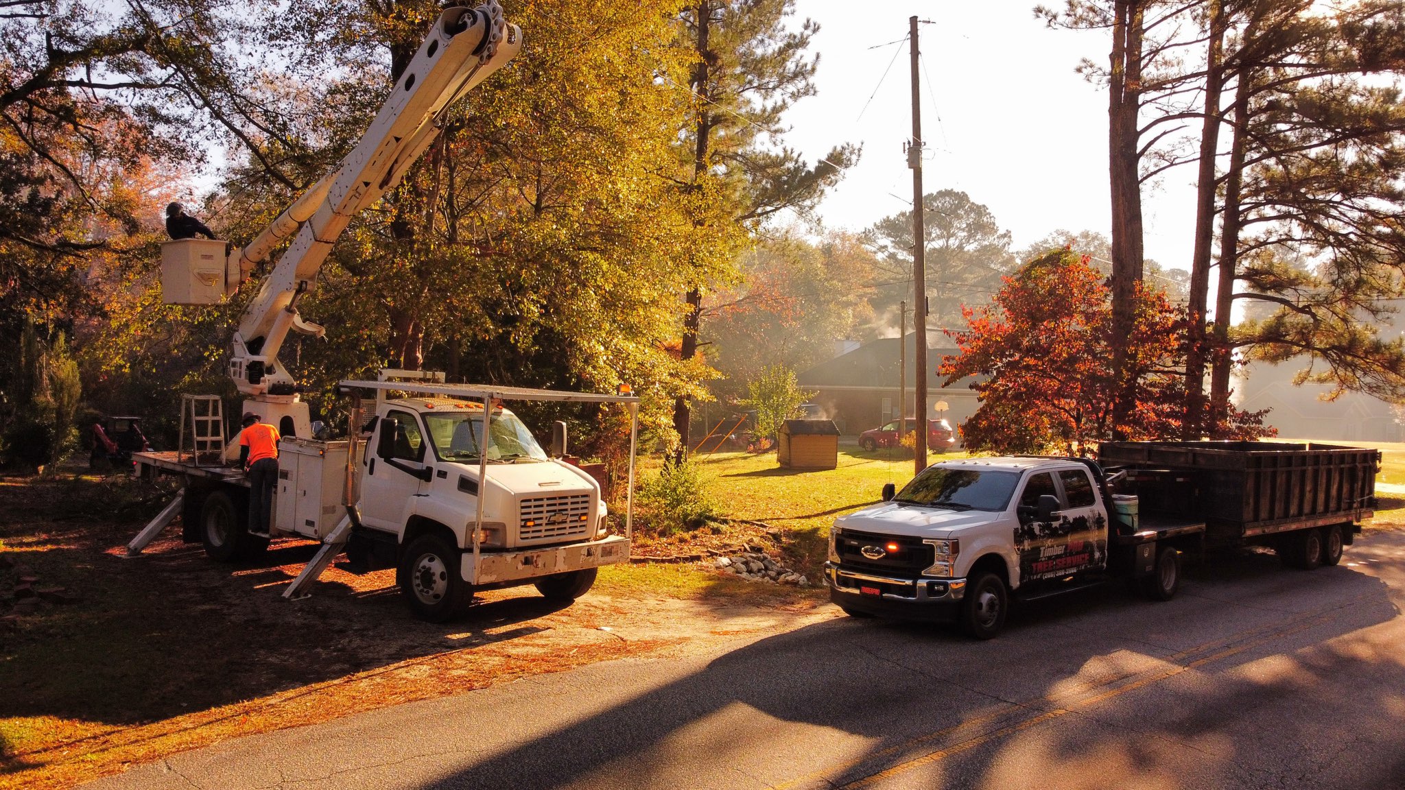 TimberPro Tree Services LLC