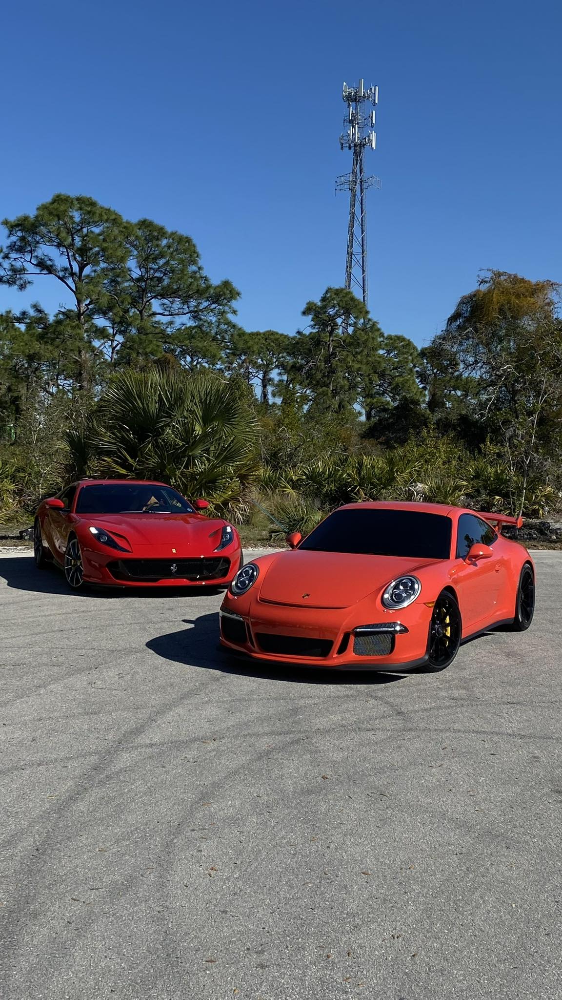 Purisic Performance | Naples FL