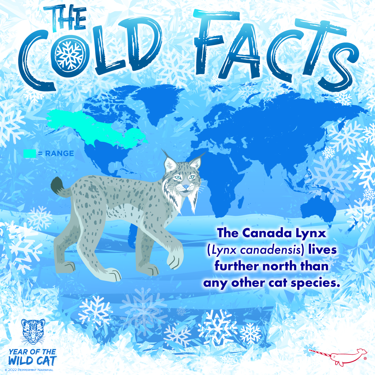 Peppermint - The Cold Facts: The Canadian Lynx (Lynx canadensis) lives ...