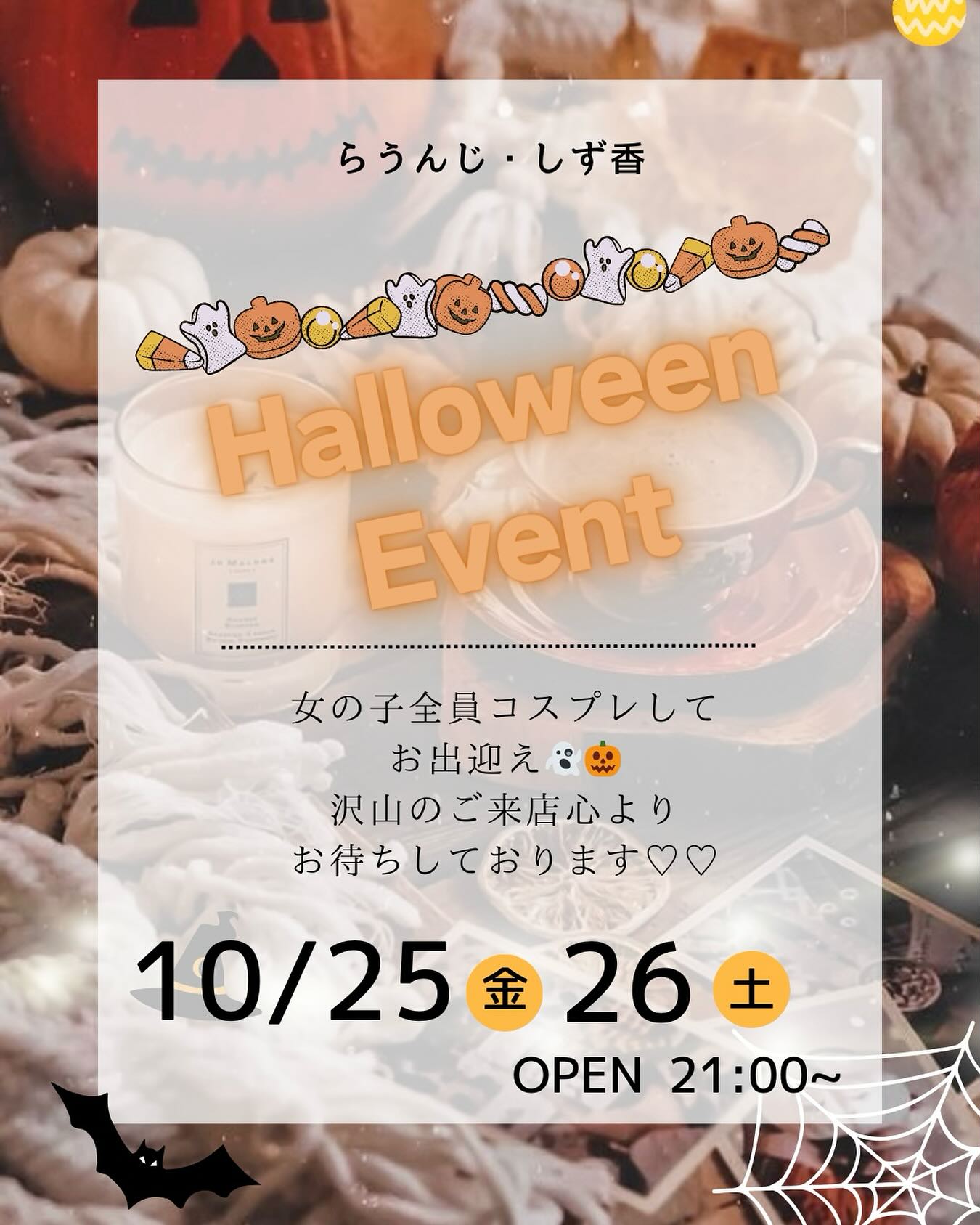 活動歴および当時の関連ビジュアル記録