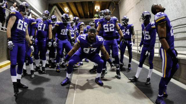 True Minnesota Vikings Fan
