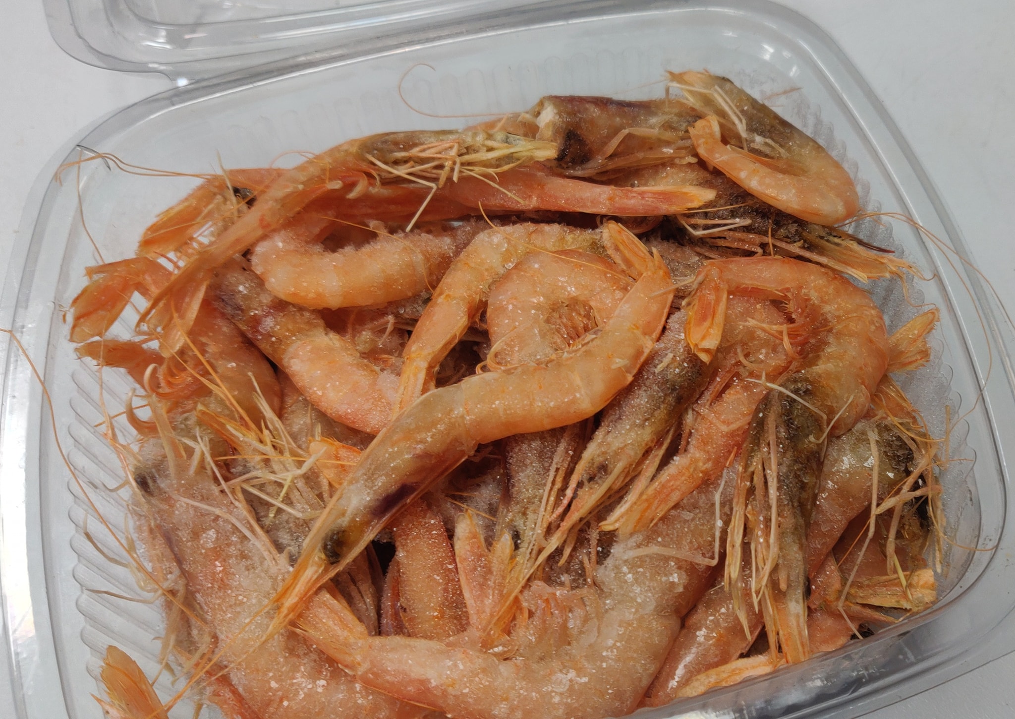 Frozen bait just arrived. Frozen... - Misterfish Malta | Facebook