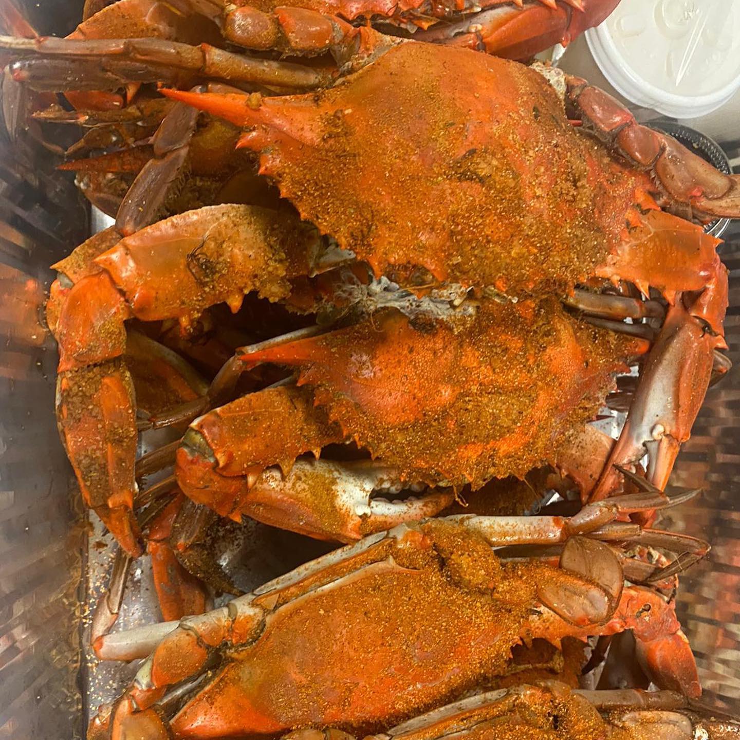 Rdryclean - ‼️BLUE CRAB GIVE AWAY‼️ ‼️ALL YOU CAN EAT BLUE...