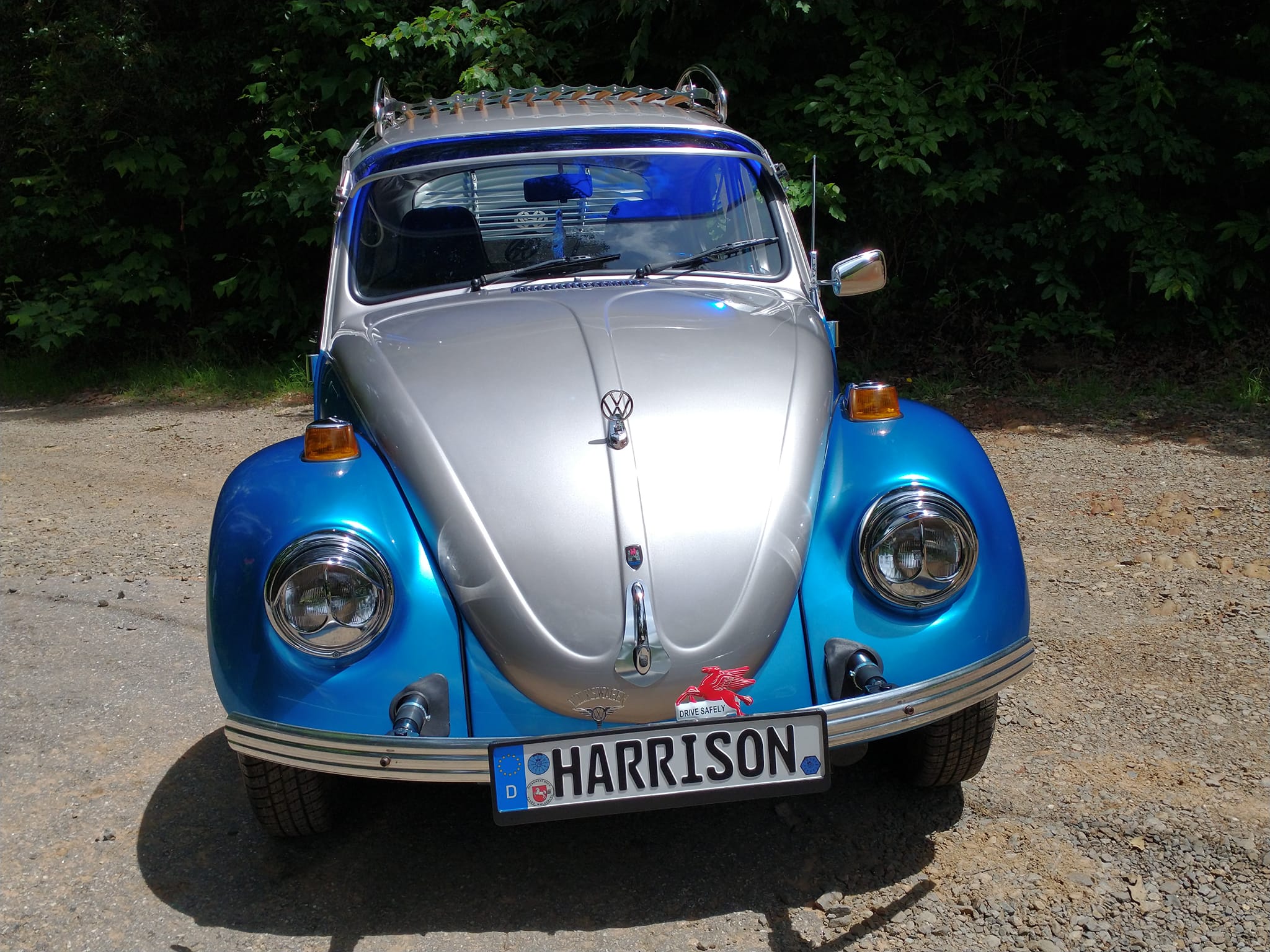 my 74 standard 