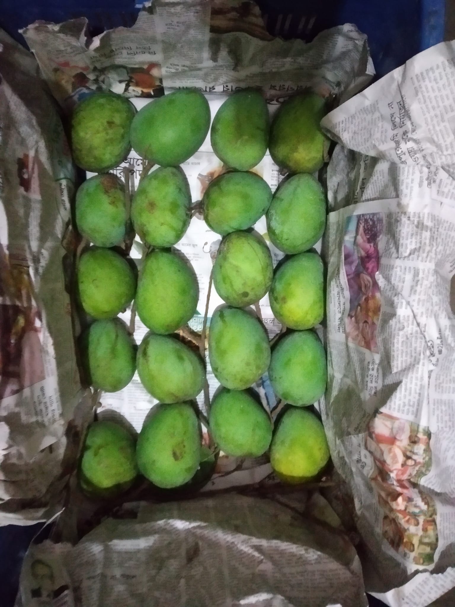 Agami kal rongpur er harivanga aam... - Foodista Chittagong