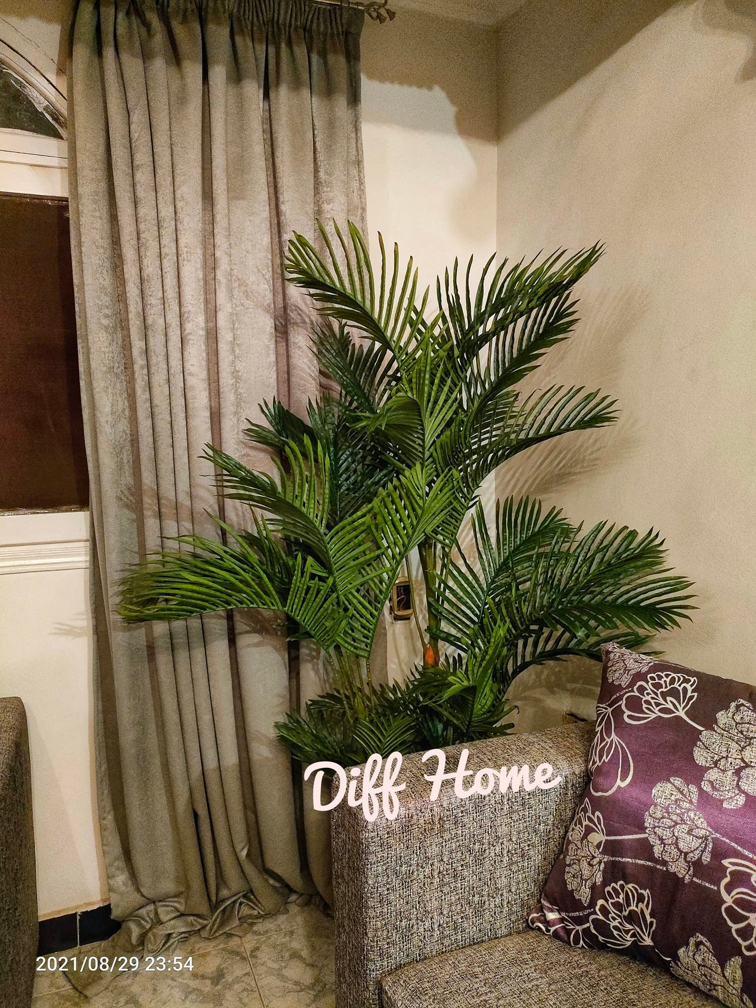 DIFF HÖMe - الشجر بيعمل جو لطيف جدا للمكان 💚🌿 تقدروا... | Facebook
