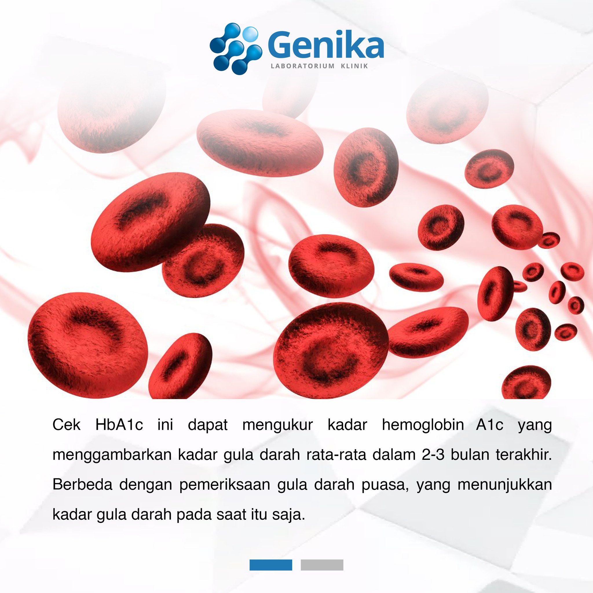 Sesuai dengan siklus hidup... - Laboratorium Klinik Genika