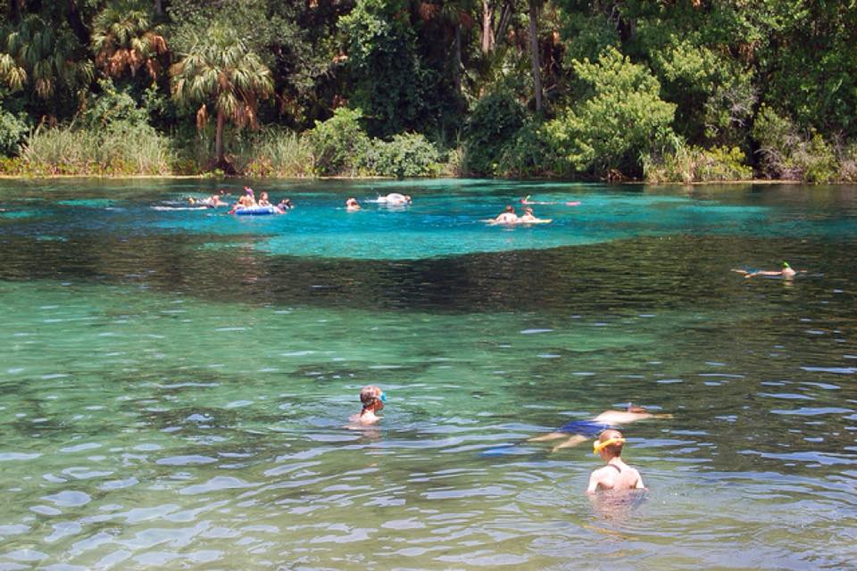 Alexander Springs Recreation Area is a... - Fun 4 Ocala Kids | Facebook