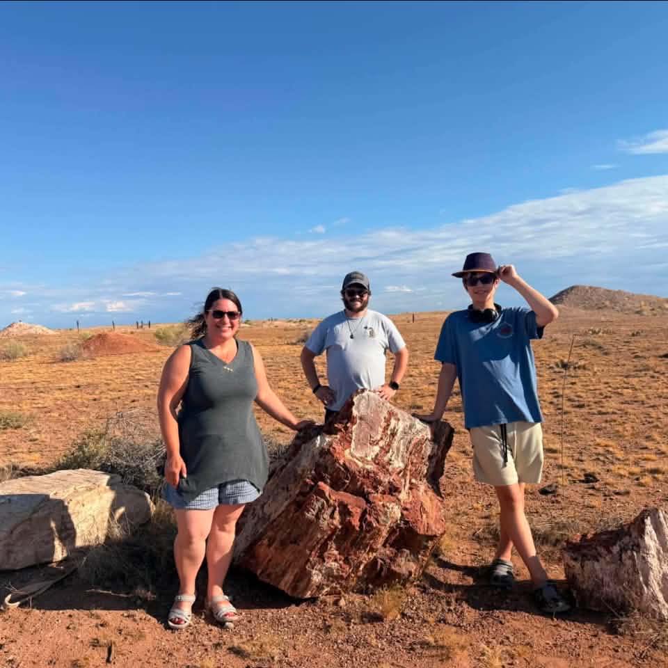 Need help! Pudding stone? Crazy woth the colors though. # ...