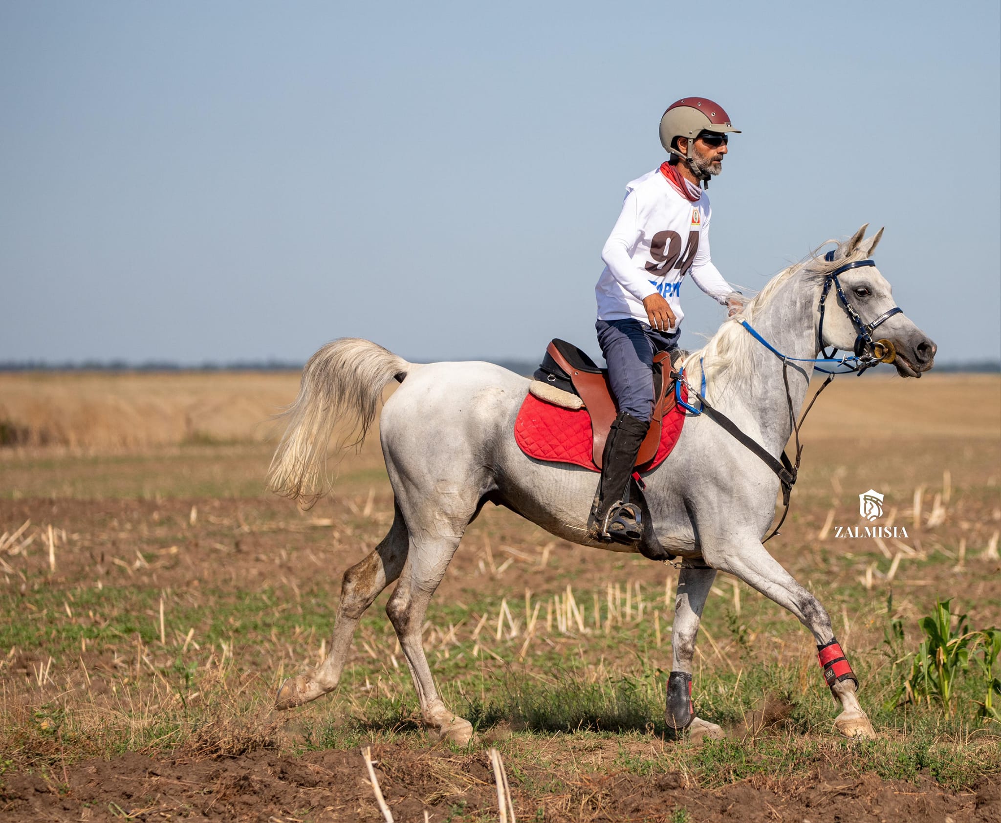 Hilal's Riders