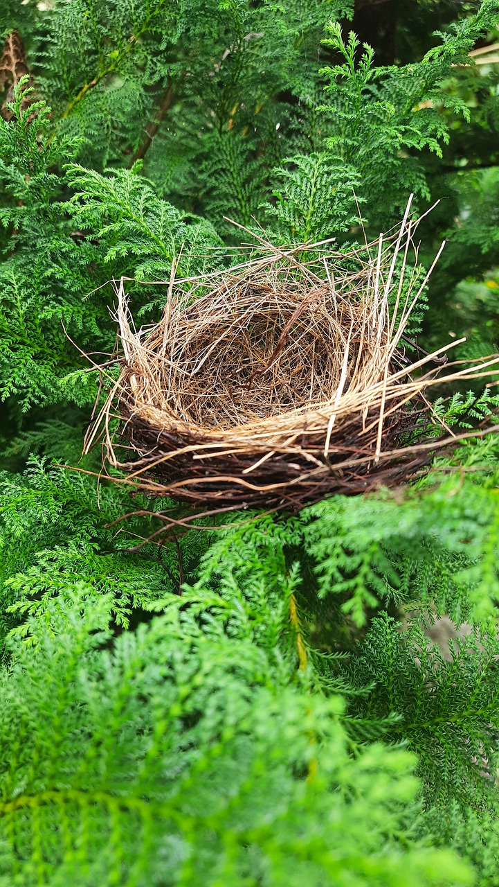 Empty Nest Forum | Facebook
