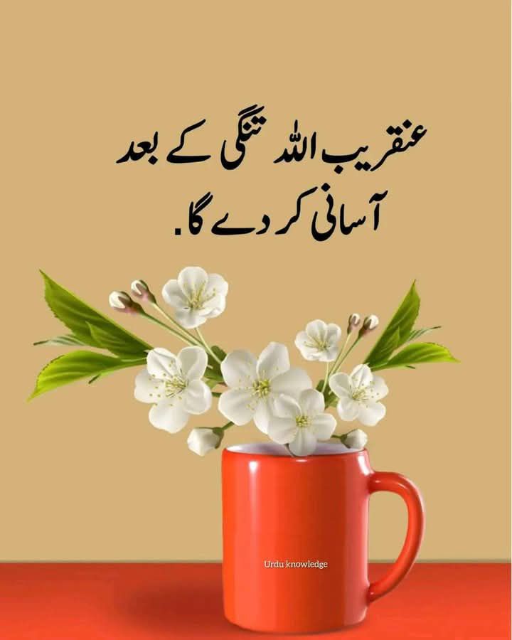 Naveed Medical Centre Rawalpindi | Rawalpindi
