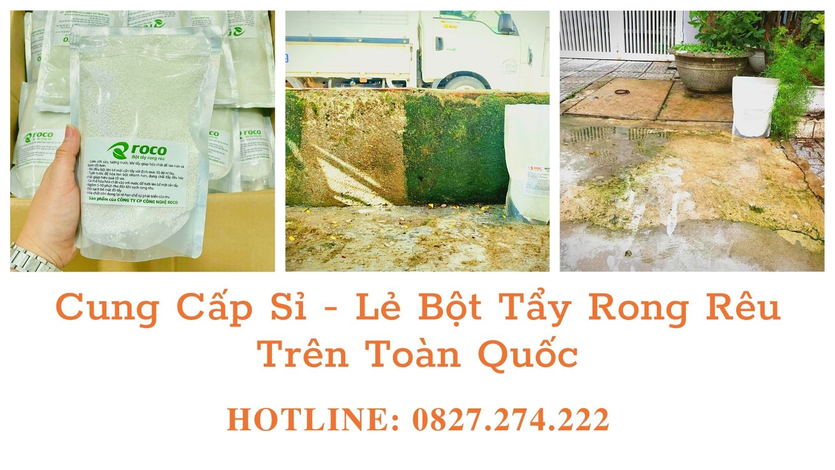 Tẩy Rong Rêu - ROC