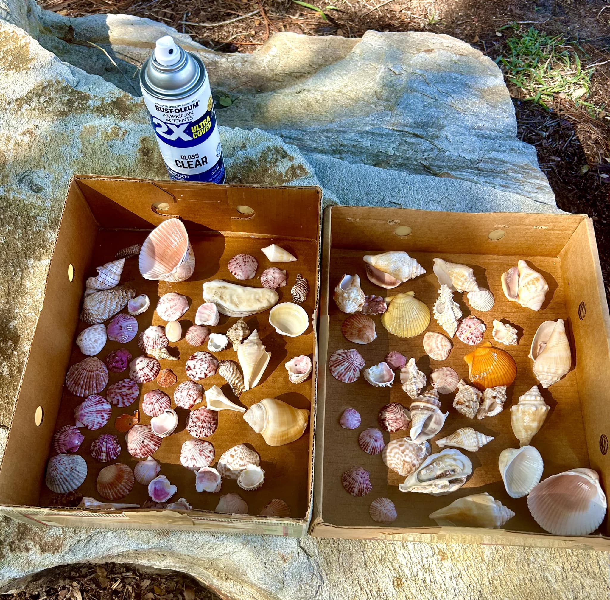Jacksonville - Preparing craft shells for the project at tthe ...
