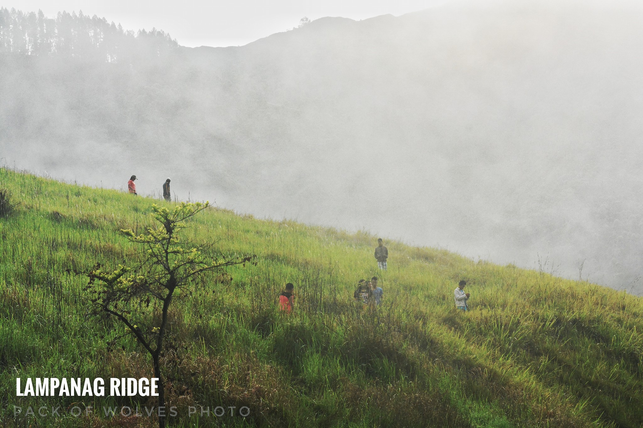 Pack of Wolves - THE BEST RIDGES IN IMPASUGONG BUKIDNON... | Facebook
